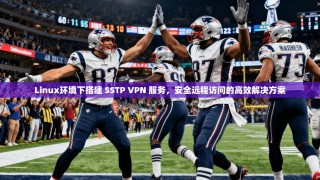 Linux环境下搭建 SSTP VPN 服务，安全远程访问的高效解决方案