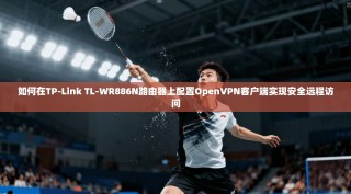 如何在TP-Link TL-WR886N路由器上配置OpenVPN客户端实现安全远程访问