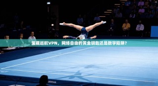 宝藏巡航VPN，网络自由的黄金钥匙还是数字陷阱？
