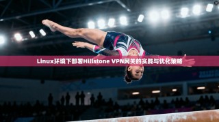 Linux环境下部署Hillstone VPN网关的实践与优化策略