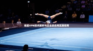 维盟VPN技术解析与企业级应用实践指南