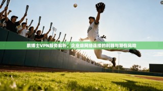 鹏博士VPN服务解析，企业级网络连接的利器与潜在风险