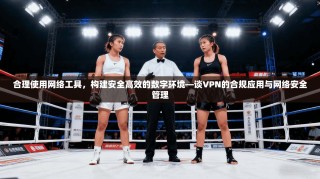合理使用网络工具，构建安全高效的数字环境—谈VPN的合规应用与网络安全管理
