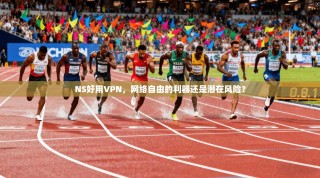 NS好用VPN，网络自由的利器还是潜在风险？