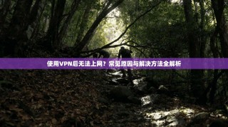使用VPN后无法上网？常见原因与解决方法全解析