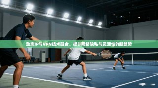 动态IP与VPN技术融合，提升网络隐私与灵活性的新趋势