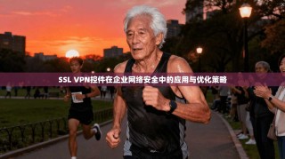 SSL VPN控件在企业网络安全中的应用与优化策略