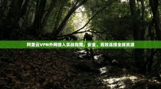 阿里云VPN外网接入实战指南，安全、高效连接全球资源