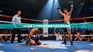 iOS设备上VPN开关的配置与安全使用指南
