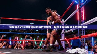 缅甸节点VPN的使用风险与合规挑战，网络工程师视角下的深度解析