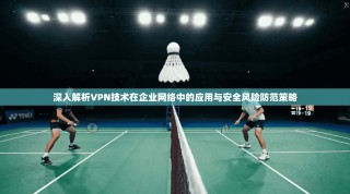 深入解析VPN技术在企业网络中的应用与安全风险防范策略