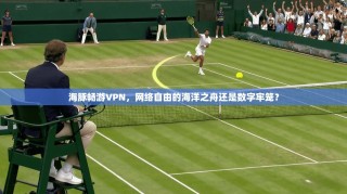 海豚畅游VPN，网络自由的海洋之舟还是数字牢笼？