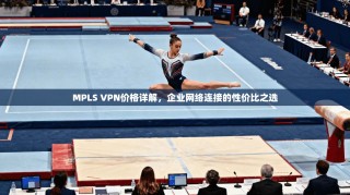 MPLS VPN价格详解，企业网络连接的性价比之选