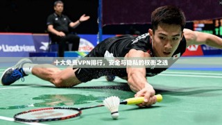 十大免费VPN排行，安全与隐私的权衡之选