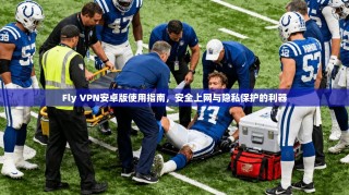 Fly VPN安卓版使用指南，安全上网与隐私保护的利器