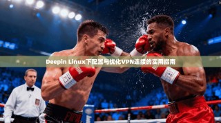Deepin Linux下配置与优化VPN连接的实用指南