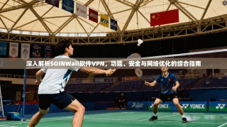 深入解析SOINWall软件VPN，功能、安全与网络优化的综合指南