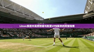 Linux系统中高效搭建与配置VPN服务的完整指南