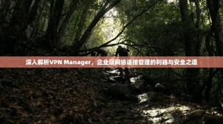 深入解析VPN Manager，企业级网络连接管理的利器与安全之道