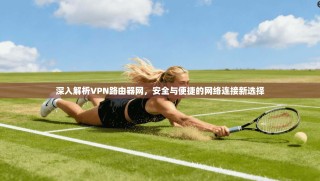 深入解析VPN路由器网，安全与便捷的网络连接新选择