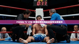 POPKN TV VPN 使用指南与网络安全性深度解析