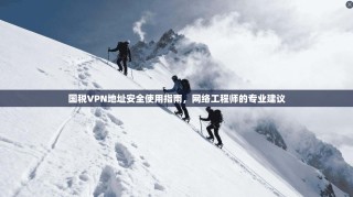 国税VPN地址安全使用指南，网络工程师的专业建议