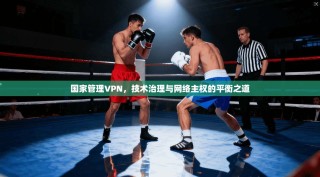国家管理VPN，技术治理与网络主权的平衡之道