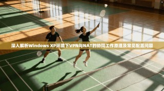 深入解析Windows XP环境下VPN与NAT的协同工作原理及常见配置问题