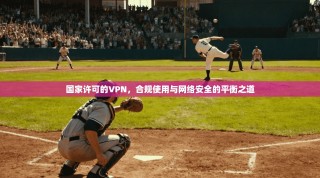 国家许可的VPN，合规使用与网络安全的平衡之道