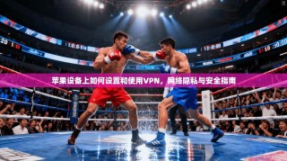 苹果设备上如何设置和使用VPN，网络隐私与安全指南