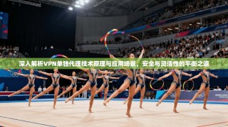 深入解析VPN单独代理技术原理与应用场景，安全与灵活性的平衡之道