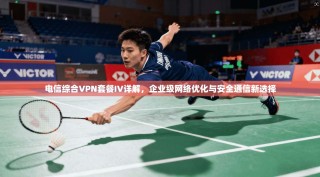 电信综合VPN套餐IV详解，企业级网络优化与安全通信新选择