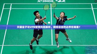天猫盒子与VPN使用风险解析，网络自由的边界在哪里？