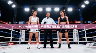 FC VPN技术详解，构建安全高效的广域网连接方案