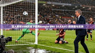 深入解析VPN环境下使用Google DNS（8.8.8.8）的原理与实践