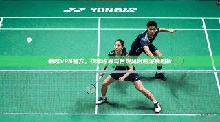 翻越VPN官方，技术边界与合规风险的深度剖析