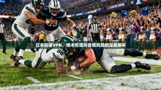 日本和谐VPN，技术伦理与合规风险的深度解析