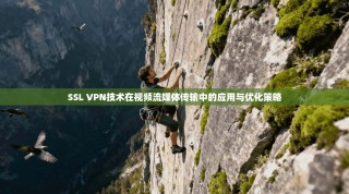 SSL VPN技术在视频流媒体传输中的应用与优化策略
