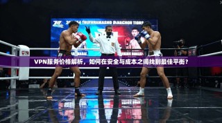 VPN服务价格解析，如何在安全与成本之间找到最佳平衡？