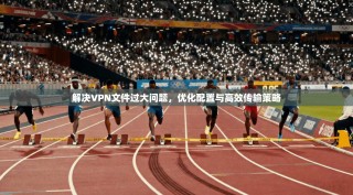 解决VPN文件过大问题，优化配置与高效传输策略