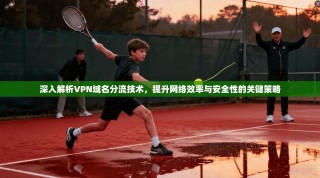 深入解析VPN域名分流技术，提升网络效率与安全性的关键策略