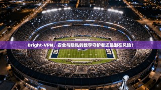 Bright-VPN，安全与隐私的数字守护者还是潜在风险？