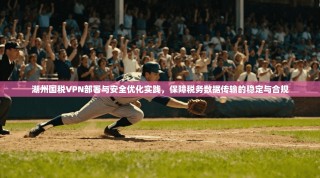 湖州国税VPN部署与安全优化实践，保障税务数据传输的稳定与合规