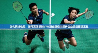 优化网络性能，如何高效添加VPN路由路径以提升企业级连接稳定性
