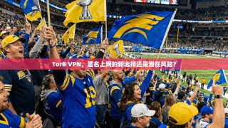 TorB VPN，匿名上网的新选择还是潜在风险？