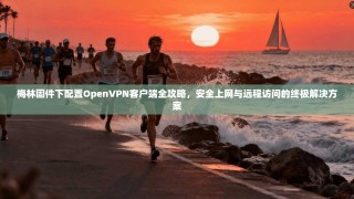 梅林固件下配置OpenVPN客户端全攻略，安全上网与远程访问的终极解决方案