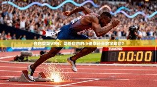 白白菜菜VPN，网络自由的小确幸还是数字陷阱？