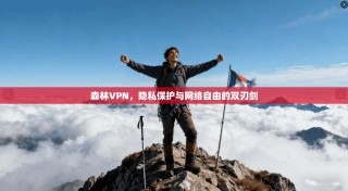 森林VPN，隐私保护与网络自由的双刃剑