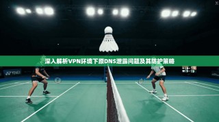 深入解析VPN环境下原DNS泄露问题及其防护策略