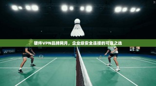 硬件VPN品牌网月，企业级安全连接的可靠之选
